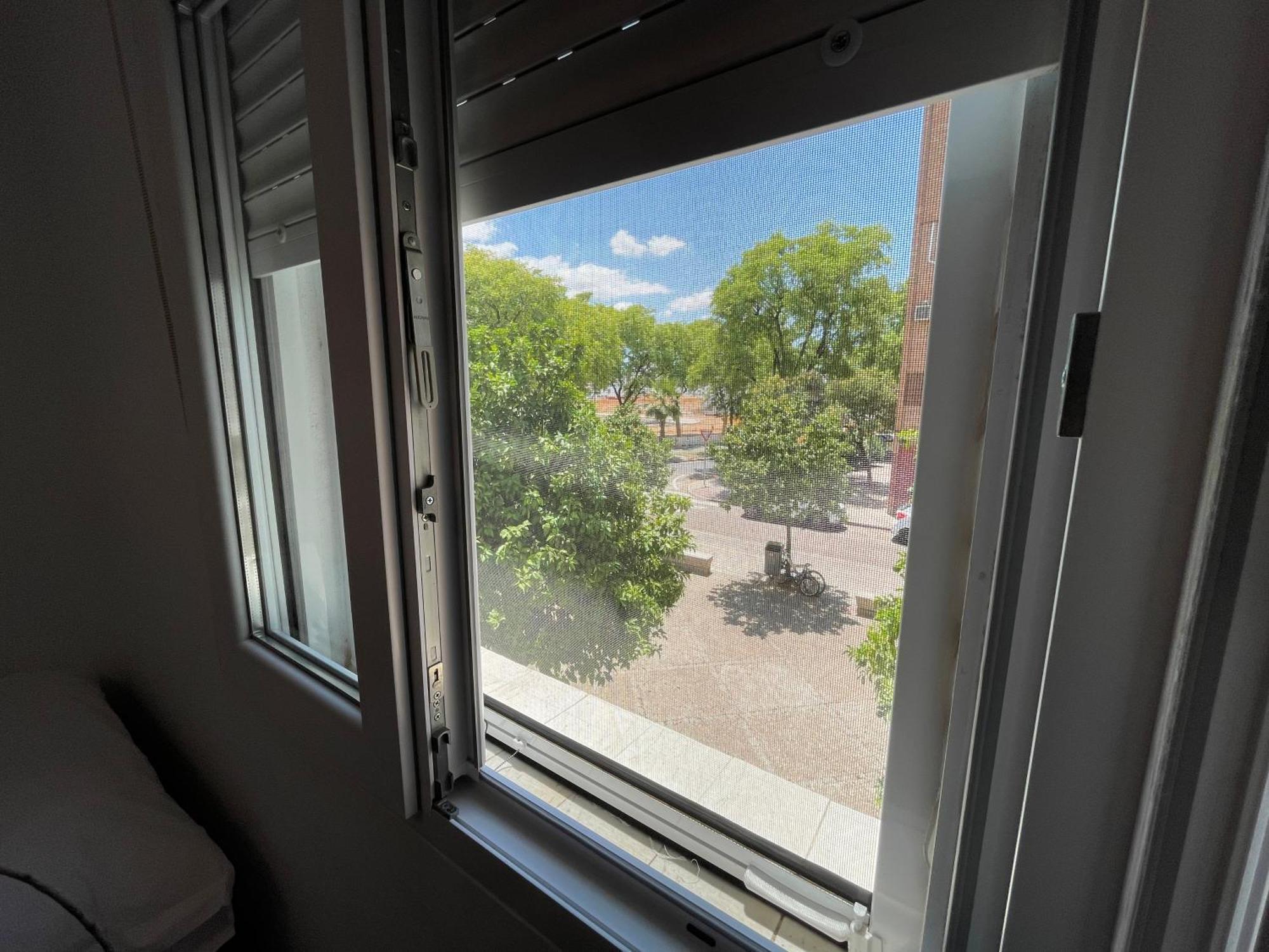 Appartement Naranjos De Zambra Séville